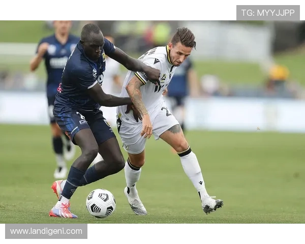 中央海岸与惠灵顿实力分析及对比探讨